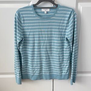 Banana Republic Teal and White Striped Top